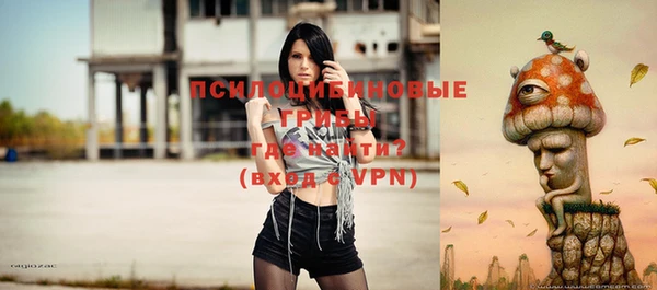 каннабис Майский