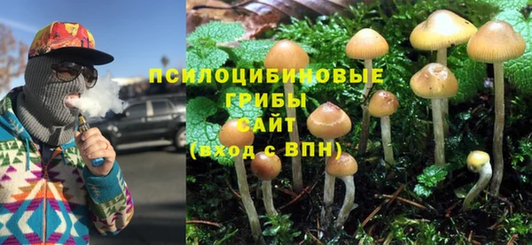 мескалин Мегион