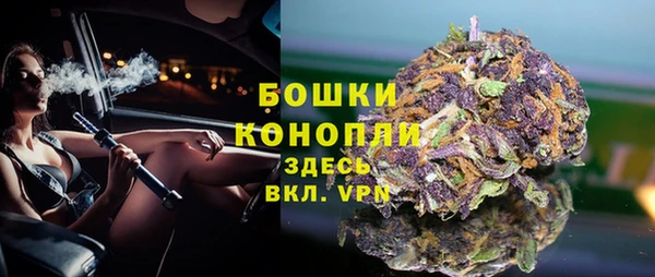мяу мяу мука Магадан
