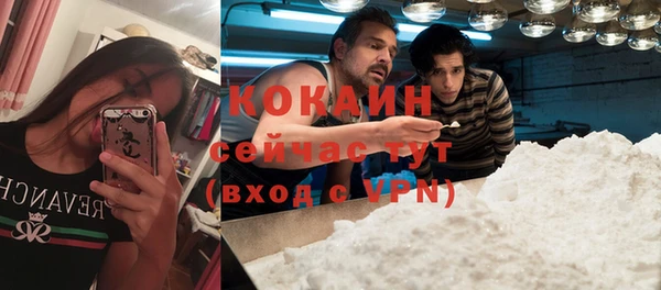 каннабис Майский