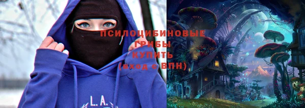герыч Медногорск
